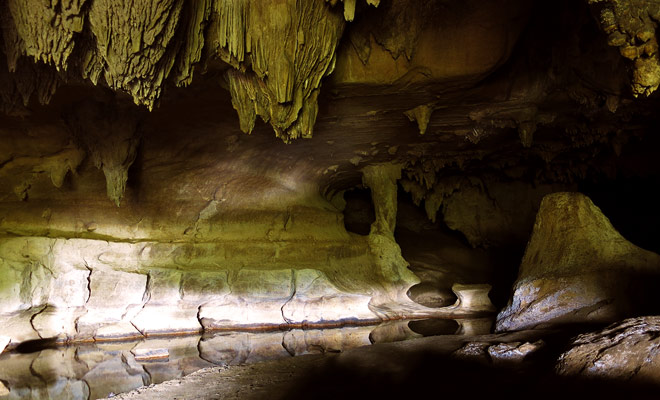 The Abbey Caves are located near Whangarei and hosts glowworms.