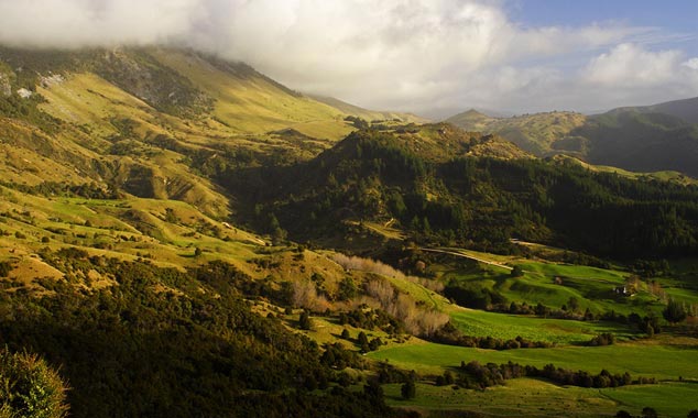 Les collines de Takaka sont peuplées d'authentiques baba-cools.