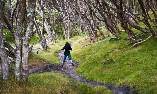 Hiking is perfect for beginners.