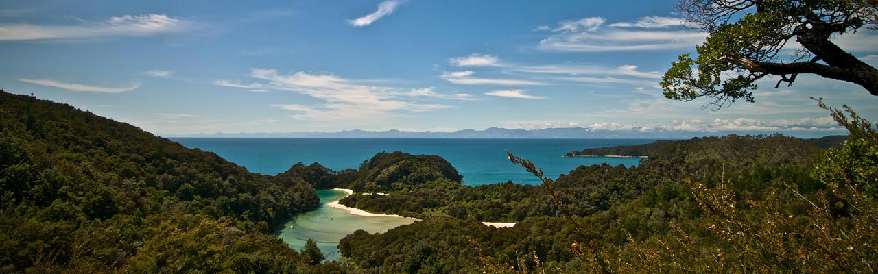 Les parcs nationaux permettent de découvrir la nature en sécurité.