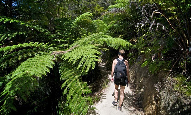 L'Abel Tasman Coast Track alterne plage de sable fin et forêt.