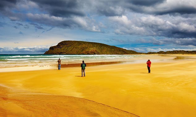 Abel Tasman is the favorite park of New Zealanders.
