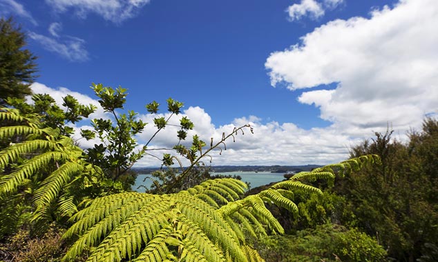 Vous pouvez également longer la côte jusqu'au Cap Brett.