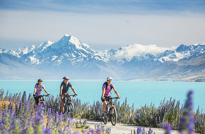 Mountain bike ride on a trail in New Zealand.