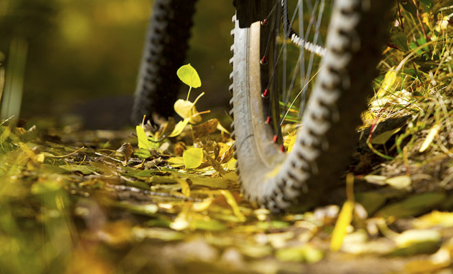 The choice of the mountain bike model is not only a matter of feeling or design. There are types of bikes suitable for each terrain, and you will need to learn about the condition of the trails before renting a bike at a Queenstown or Rotorua shop.
