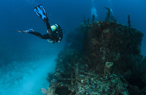 Come diving on wreck.