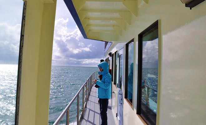 The ship ascends the fiord to the Tasman Sea where it turns back to its starting point.