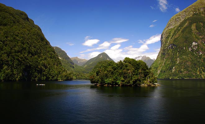 The fresh rain water that filters sunlight allows the coral to grow shallow. This phenomenon explains the dark color of the fiord.