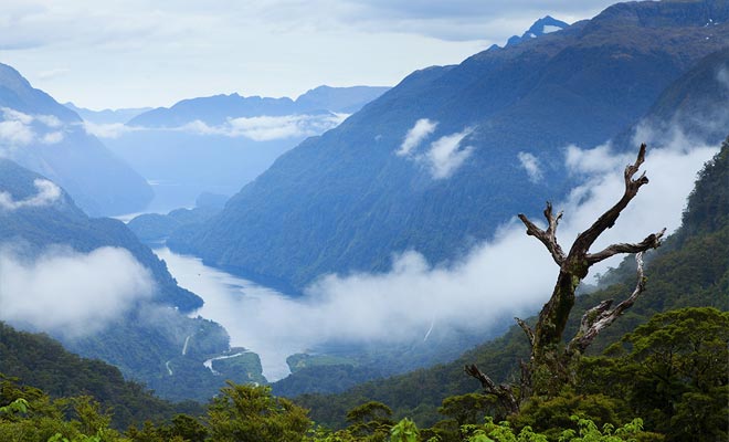 According to a recent survey, the favorite fiord of New Zealanders is the Doubtful Sound.