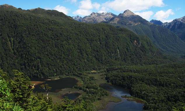 The relief of the Fiordland makes access practically impossible.