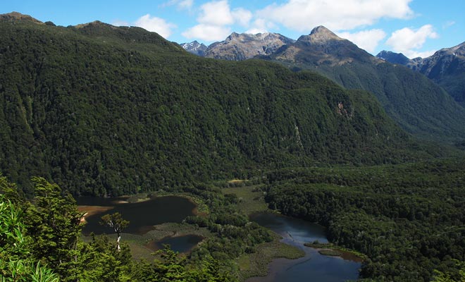 The Doubtful Sound is difficult to access and the tour that allows to visit it occupies a whole day. This explains why the majority of visitors prefer to visit the Milford Sound.