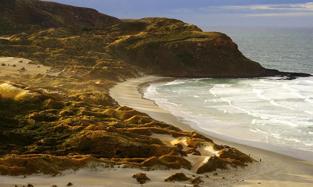 Les plages de la région sont très prisées des surfeurs.