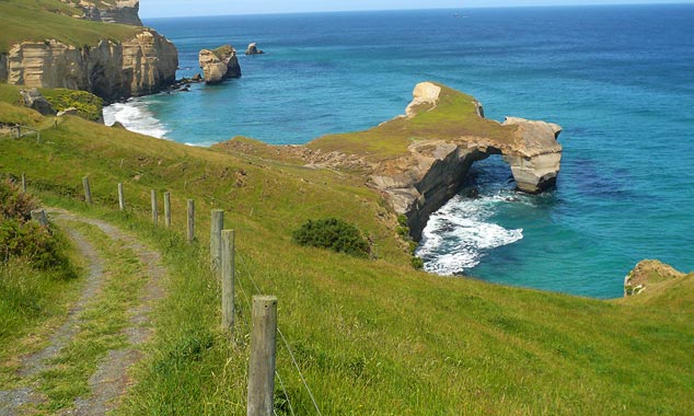 The ride to Tunnel Beach Walkway runs along the coast.