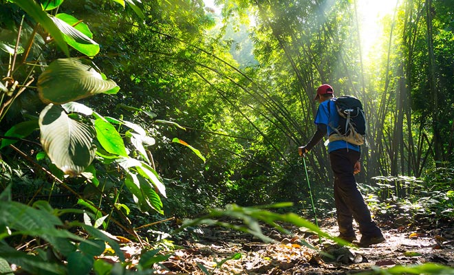 The jobs proposed by the Department of Conservation range from the maintenance of trails to the construction of shelters to the protection of endangered species such as kiwis.