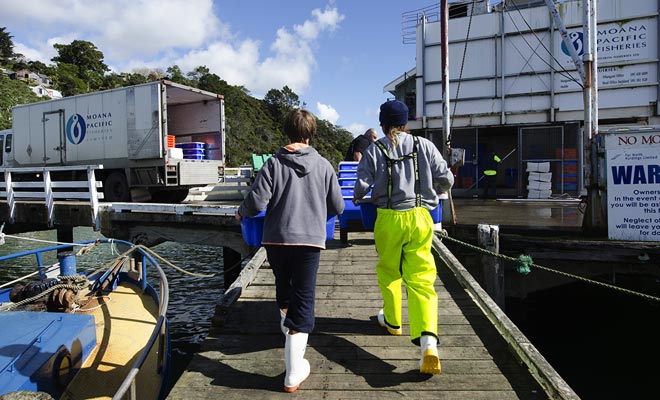 HelpX is not restricted to organic farms. You can also find yourself in an office or in a packaging factory. The professional experiences are therefore more varied, which is ideal for a Working Holiday Visa experience.