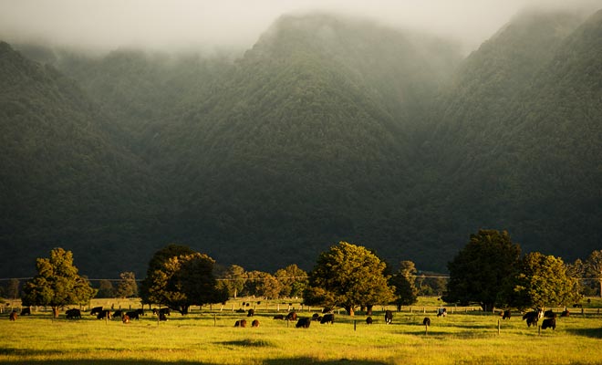 Working on the farm can sometimes be difficult. But if you raise your head to contemplate a landscape like this, you should quickly forget the fatigue.
