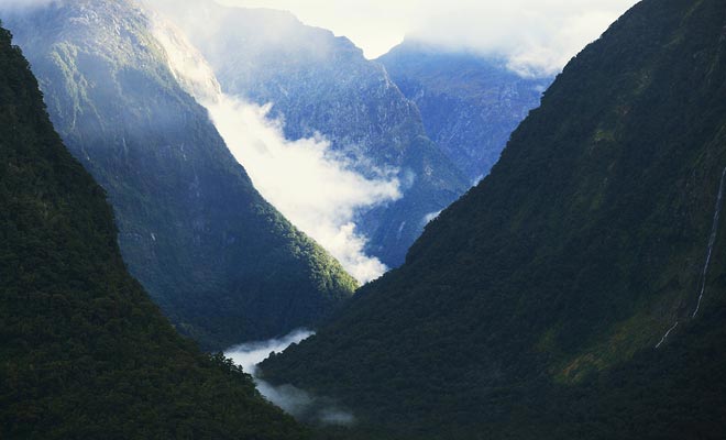 With an excursion that lasts about 8h, you have to be very motivated to visit the Doubtful Sound. The density of the forest and the rugged terrain have long kept Man away from the Fiordland.