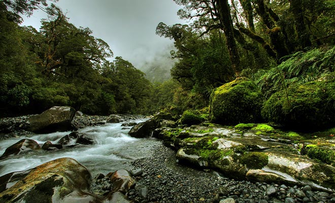Discovered by the Maori in the 8th century, New Zealand was a no man's land. Even today, some impenetrable forests of the South Island remain unexplored.