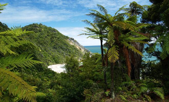 Kahurangi National Park is the second largest in New Zealand by its superficy and one of the most varied with a succession of mountains, forests and beaches to cross.