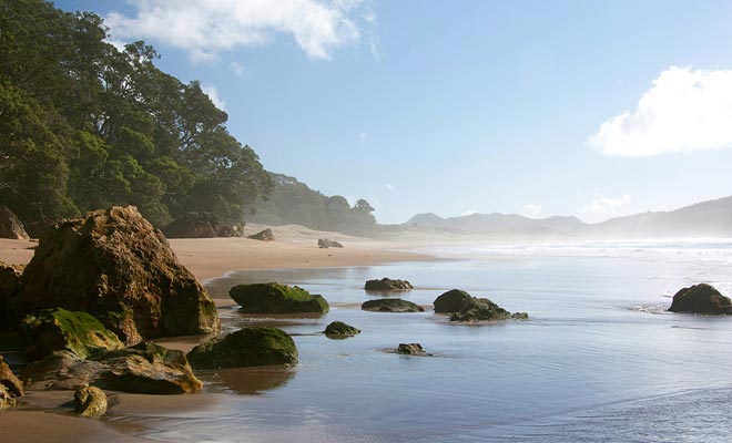 Hot Water Beach is large enough to have you searching a long time without finding. But the spring is near rocky outcrops.