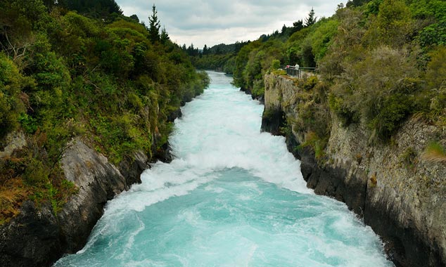 The Waikato River flows in a narrow gorge.