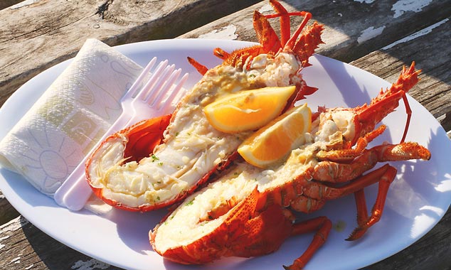 The Kaikoura Seafood BBQ serves lobsters at half price.