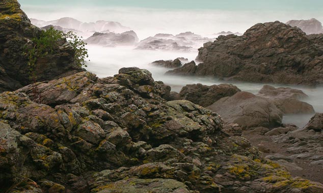 The coast shredded by the mist.