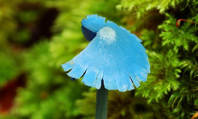 Cette photo est authentique !