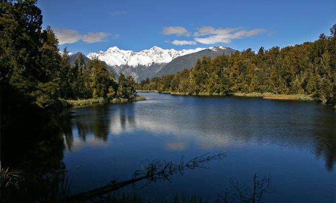 The giant eels of Lake Matheson hide under the surface, but you have a good chance of seeing them if you approach the shore.