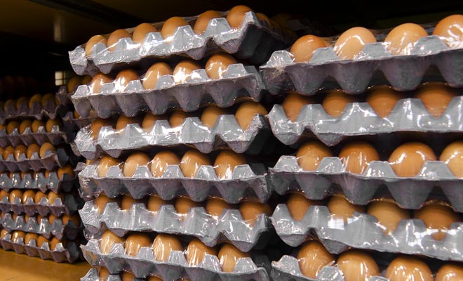 If you do not spend the whole day there, the factory work may be acceptable. If not, ask yourself if you have traveled the globe for a job you could have done in Europe?