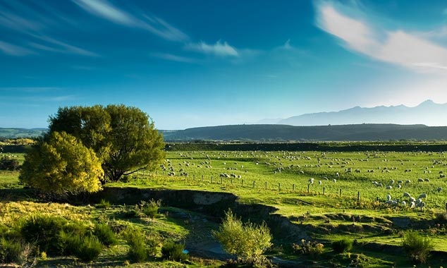 La Milford Road traverse Eglinton Valley et ses paysages de rêve.