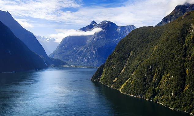 Des avalanches d'arbres se produisent parfois sur les falaises.