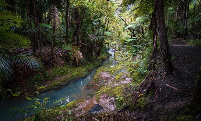 With a population density close to zero, the Fiordland is a wet region covered with impenetrable forests.