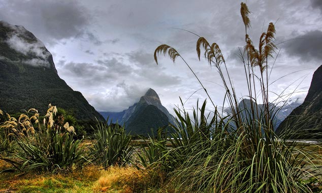 L'Île du Sud possède des régions sauvages presque inaccessibles.