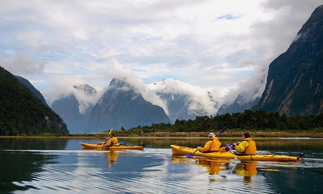 Le kayak permet d'explorer le Fjord et d'approcher les dauphins.