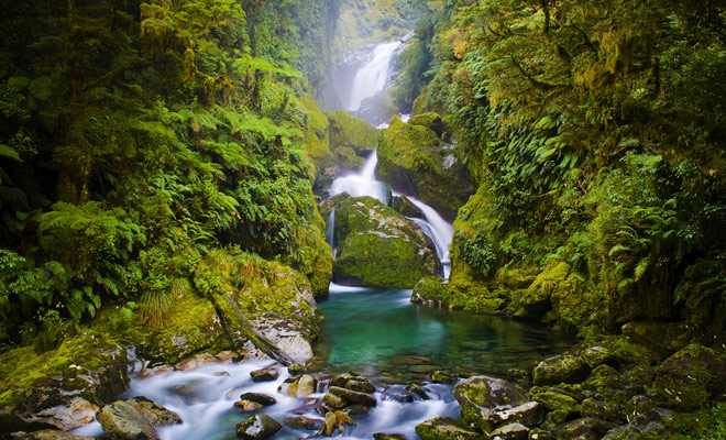 A bad fall is always possible, especially if you deviate from the trail to venture into the rivers. A simple sprain can end your stay, so be careful.