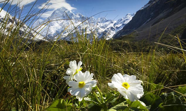 The ideal is to come in the spring to admire the valleys in bloom.