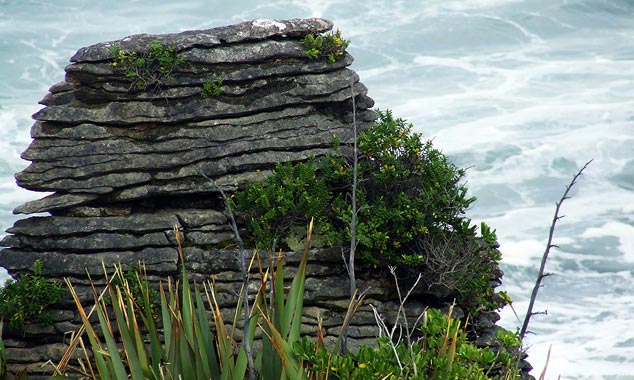 N'oubliez pas de nous envoyer vos photos !