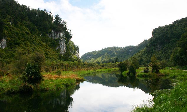 Le parc National de Paparoa est encore méconnu du grand public.