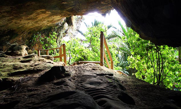 La caverne de Punakaiki Cavern Track requiert une lampe torche.