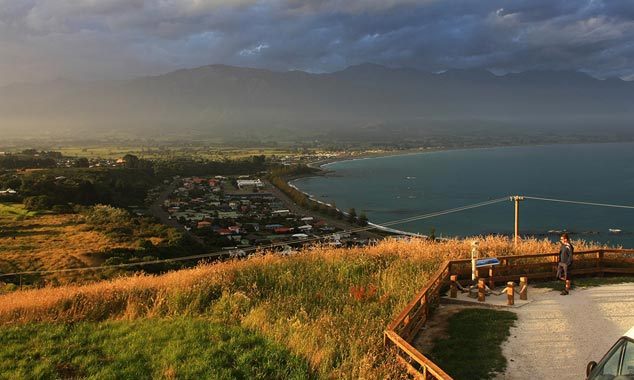 Kaikoura Peninsula Walkway est la principale randonnée.