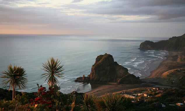 Piha is the beach of the piano lesson at the cinema.
