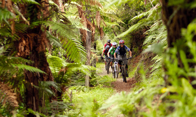 Les meilleures pistes de VTT de l'Île du Nord sont à Redwoods.