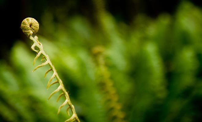 Vous n'avez pas besoin de vous faire vacciner pour voyager en Nouvelle-Zélande. Le pays n'est pas affecté par des épidémies.
