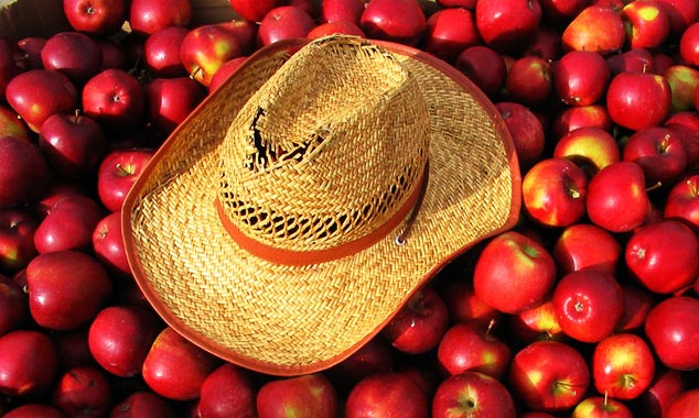 The Working Holiday Visa (WHV) is for young travelers.