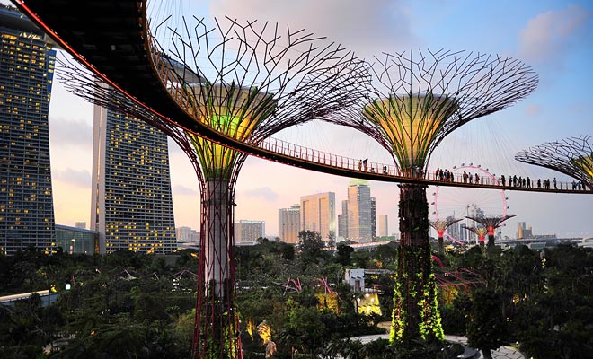 The gardens of Singapore are splendid. If your stopover grants you enough time, it would be a shame to miss this visit.