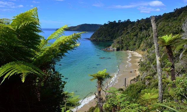 La randonnée de Rakiura se trouve sur la troisième île du pays.