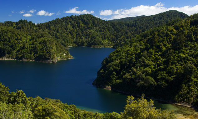 The Lake Waikaremoana trek.