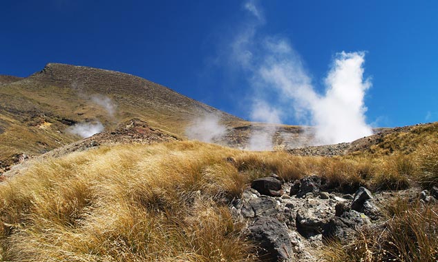 Des volutes montent des sources d'eau chaude de Ketetahi Springs.