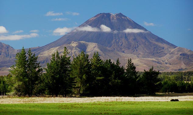 Some volcanoes of the North Island are still active.